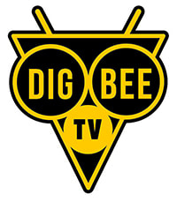 DIGBEE TV